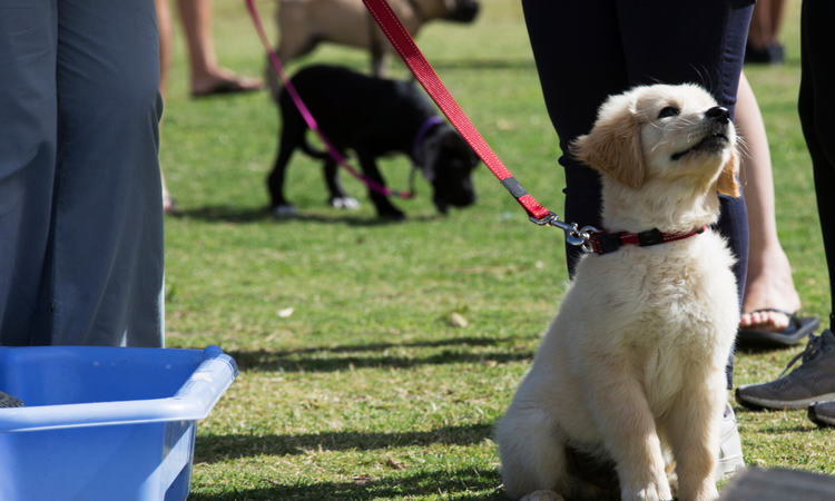 Untitled_design_2_cae9e934-5616-481e-9cbc-38d7e453d750-AMAZON FACTORY