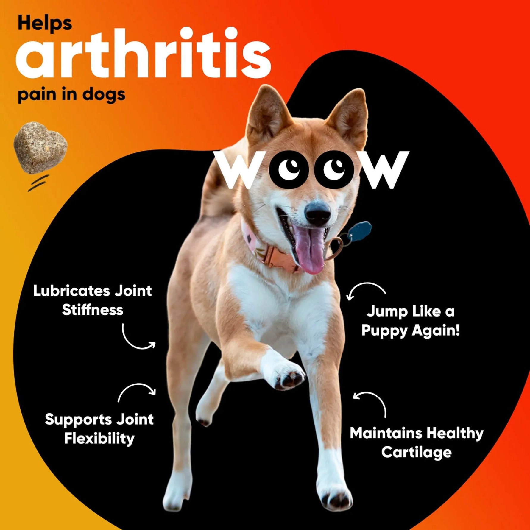 Amazon Factory - Dr Woow Hip and Joint Support Soft Chews - AMAZON FACTORY