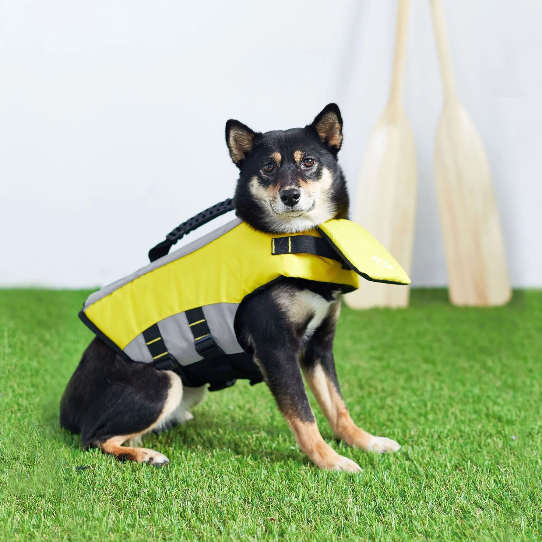 Amazon Factory Fitness Store Pet Life Vest - AMAZON FACTORY