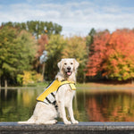 Amazon Factory Fitness Store Pet Life Vest - AMAZON FACTORY