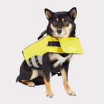 Amazon Factory Fitness Store Pet Life Vest - AMAZON FACTORY