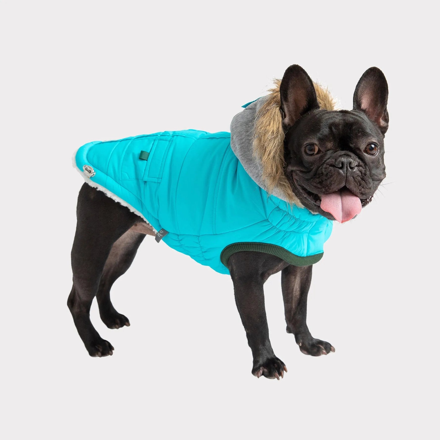 Amazon Factory Store Pet Winter Sailor Parka - AMAZON FACTORY