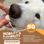 Amazon Factory's, Joint Supplement for Dogs - AMAZON FACTORY