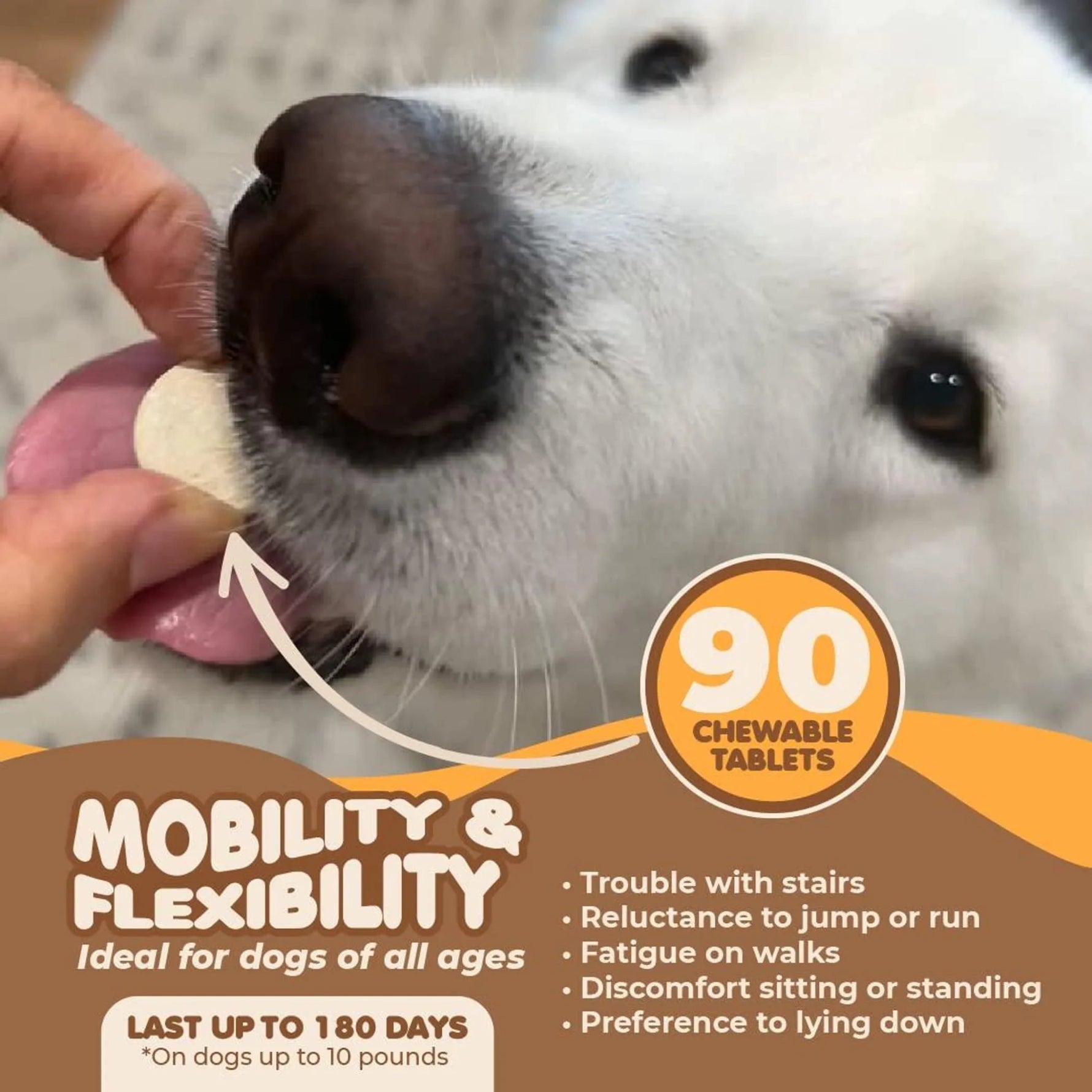 Amazon Factory's, Joint Supplement for Dogs - AMAZON FACTORY