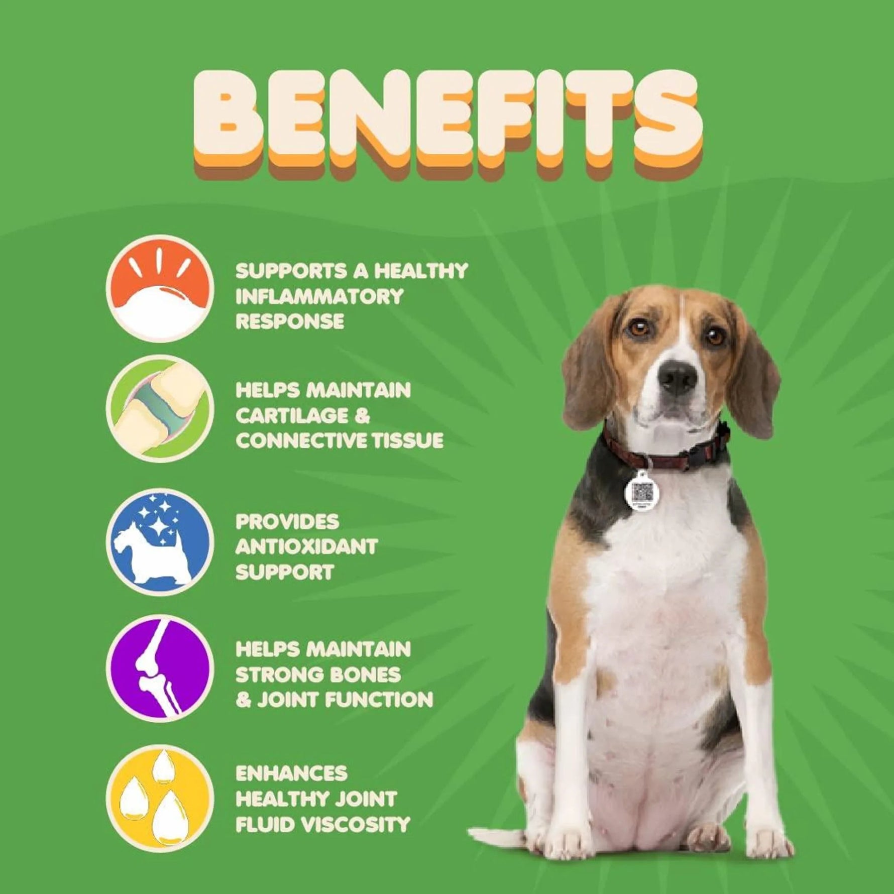 Amazon Factory's, Joint Supplement for Dogs - AMAZON FACTORY