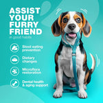 Amazon Factory's No Poo Chews for Dogs - AMAZON FACTORY