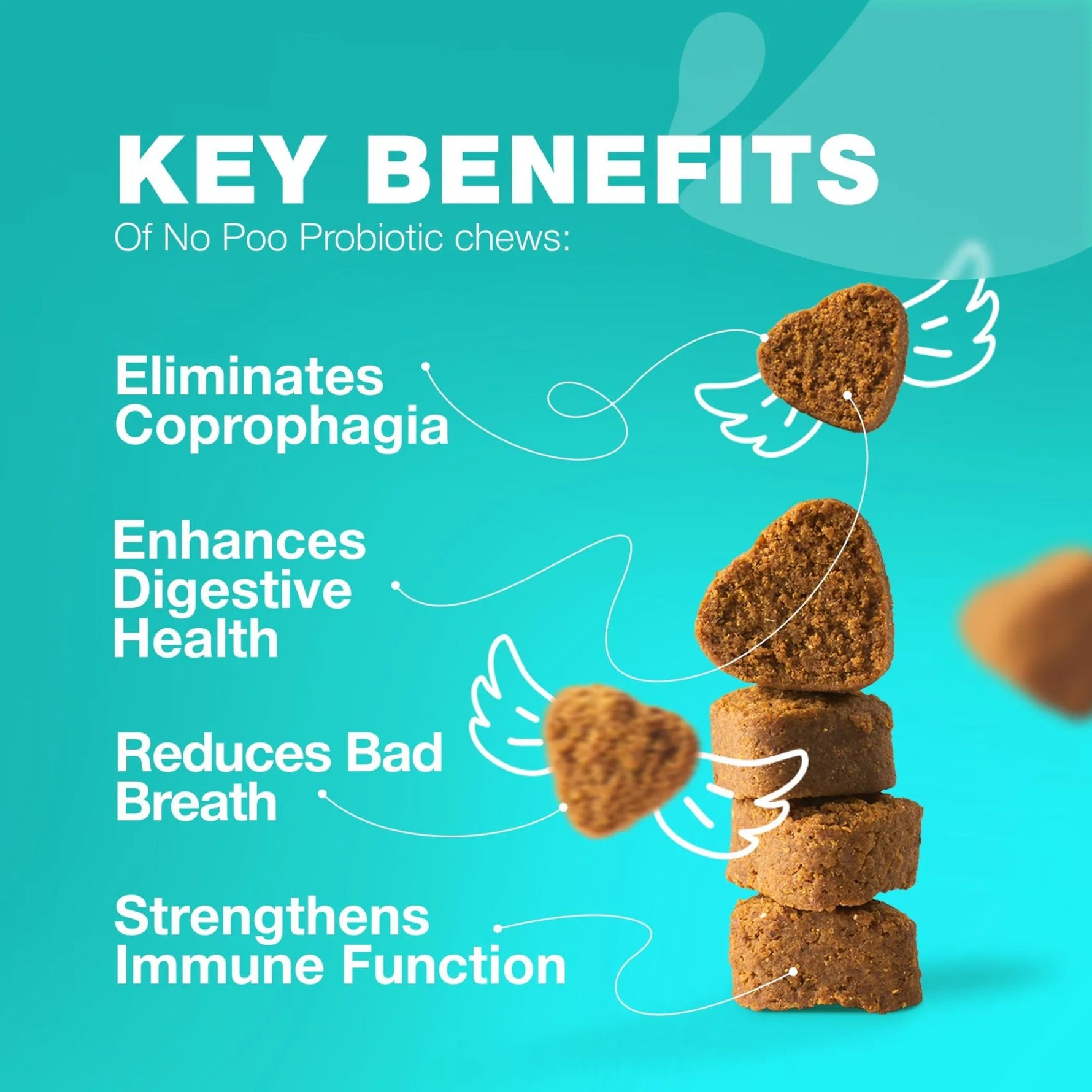 Amazon Factory's No Poo Chews for Dogs - AMAZON FACTORY