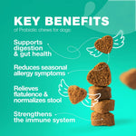 Amazon Factory's, Probiotics for Dogs Gut Health Digestion - AMAZON FACTORY