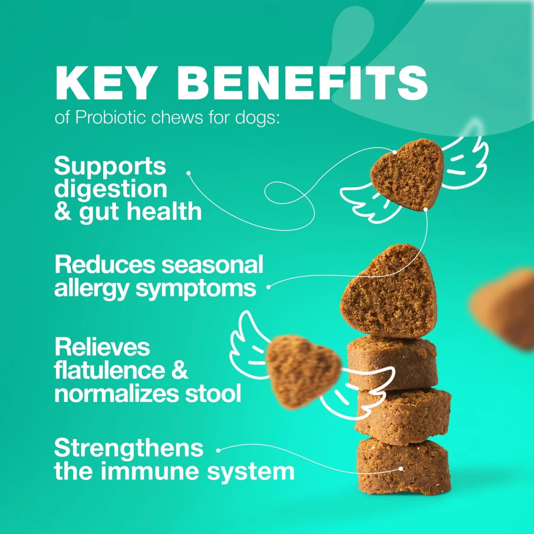 Amazon Factory's, Probiotics for Dogs Gut Health Digestion - AMAZON FACTORY