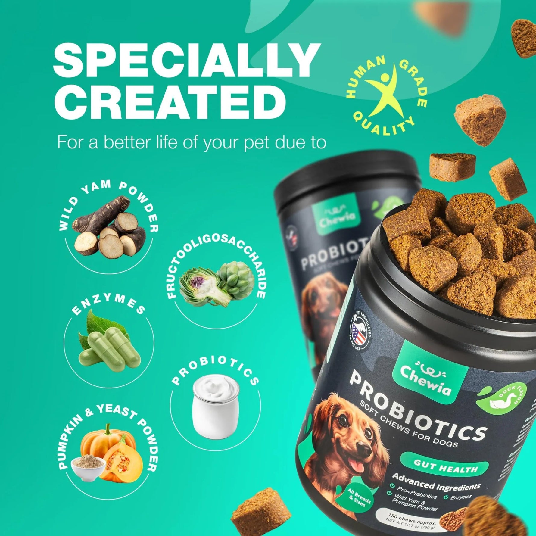 Amazon Factory's, Probiotics for Dogs Gut Health Digestion - AMAZON FACTORY