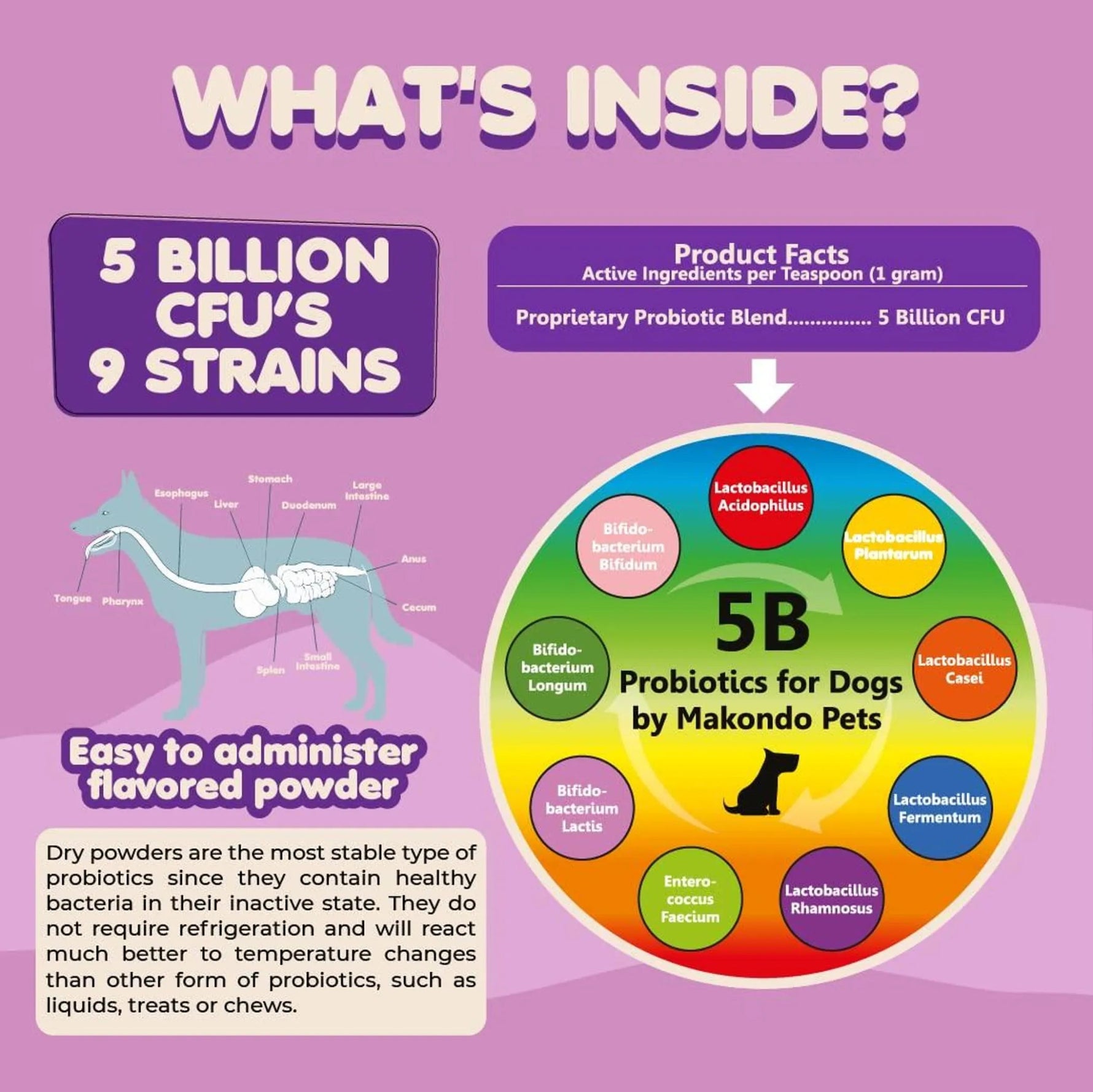 Amazon Factory's - Probiotics for Dogs & Puppies - AMAZON FACTORY