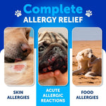 Amazon Factory's - Probiotics for Dogs Support Gut Health Itchy Skin Allergies - AMAZON FACTORY