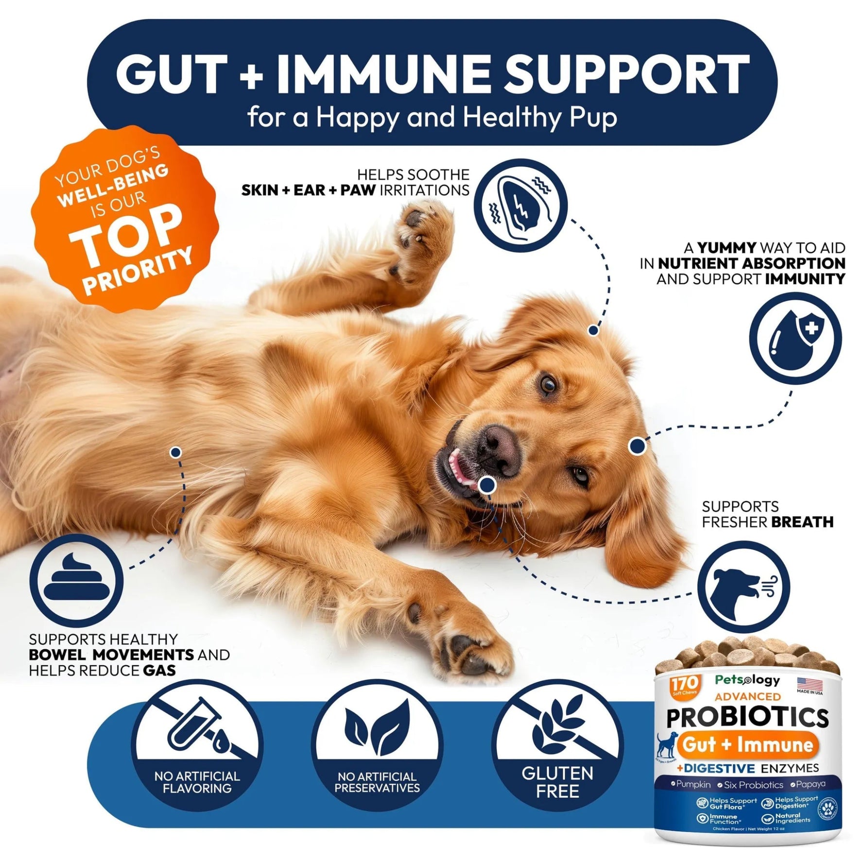 Amazon Factory's - Probiotics for Dogs - AMAZON FACTORY