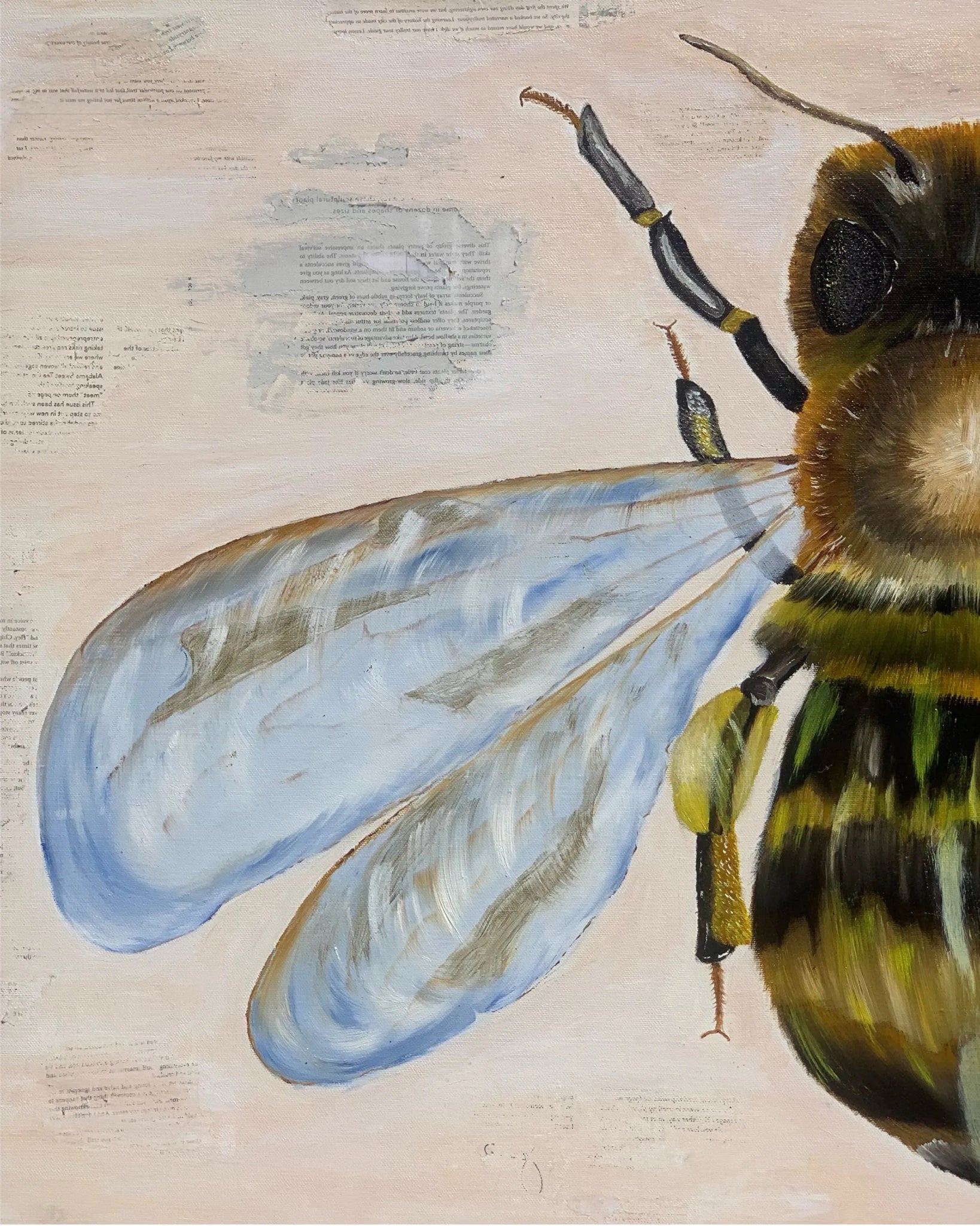 Art Prints - The Bee - AMAZON FACTORY