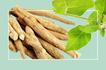 Ashwagandha - AMAZON FACTORY