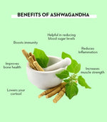 Ashwagandha - AMAZON FACTORY