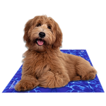 Chillz Gel Mat - AMAZON FACTORY