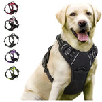 Dog Collars Harness Big Vests Leash Pet Shop Everything for Dogs Leather Puppy Accessories Medium Small Set-AMAZON FACTORY