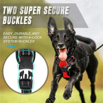 Dog Collars Harness Big Vests Leash Pet Shop Everything for Dogs Leather Puppy Accessories Medium Small Set-AMAZON FACTORY