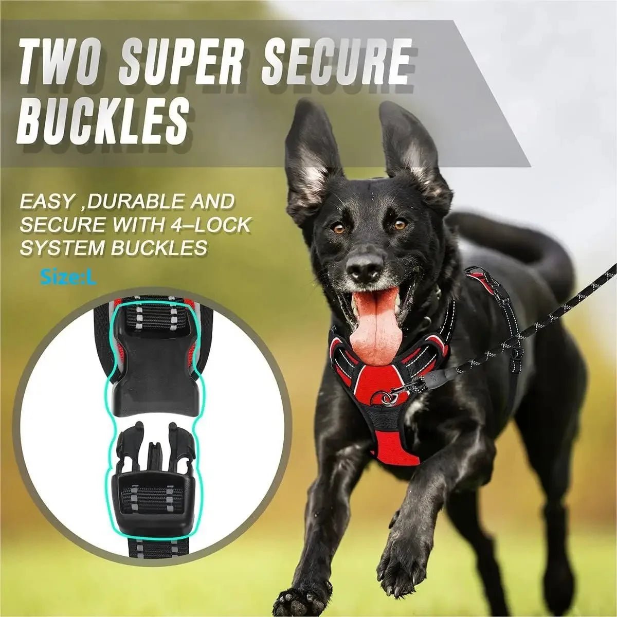 Dog Collars Harness Big Vests Leash Pet Shop Everything for Dogs Leather Puppy Accessories Medium Small Set-AMAZON FACTORY