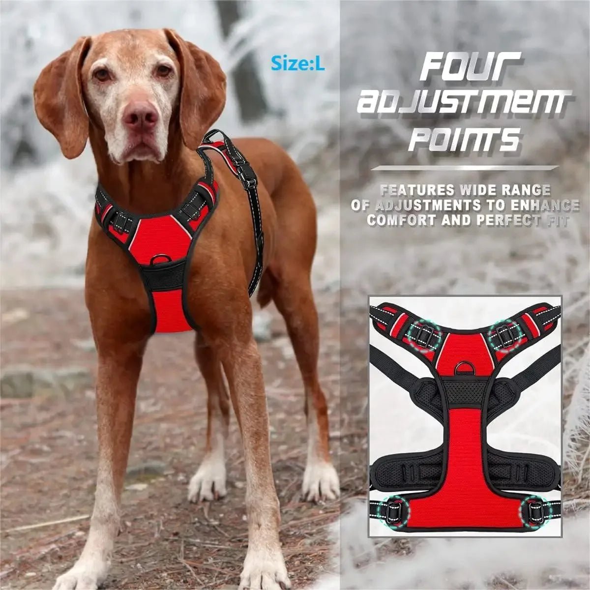 Dog Collars Harness Big Vests Leash Pet Shop Everything for Dogs Leather Puppy Accessories Medium Small Set-AMAZON FACTORY