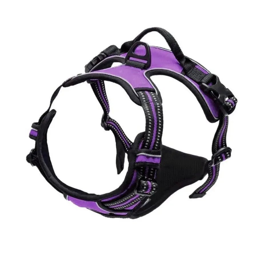 Dog Collars Harness Big Vests Leash Pet Shop Everything for Dogs Leather Puppy Accessories Medium Small Set-AMAZON FACTORY