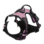 Dog Collars Harness Big Vests Leash Pet Shop Everything for Dogs Leather Puppy Accessories Medium Small Set-AMAZON FACTORY