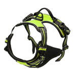 Dog Collars Harness Big Vests Leash Pet Shop Everything for Dogs Leather Puppy Accessories Medium Small Set-AMAZON FACTORY