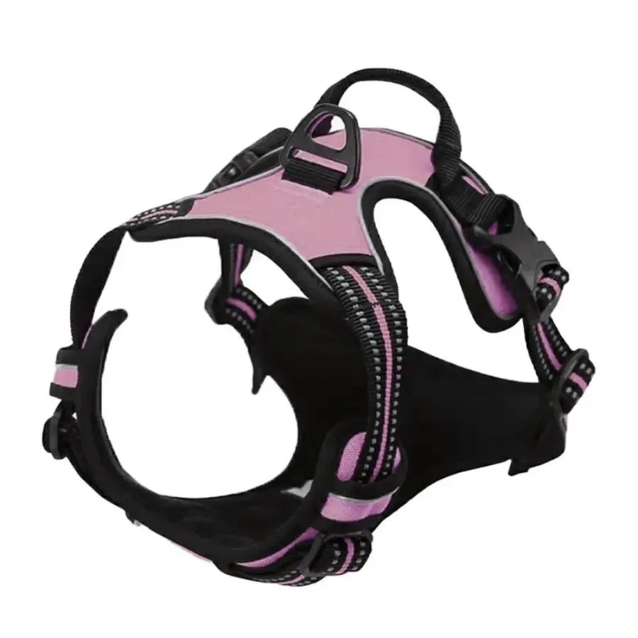 Dog Collars Harness Big Vests Leash Pet Shop Everything for Dogs Leather Puppy Accessories Medium Small Set-AMAZON FACTORY