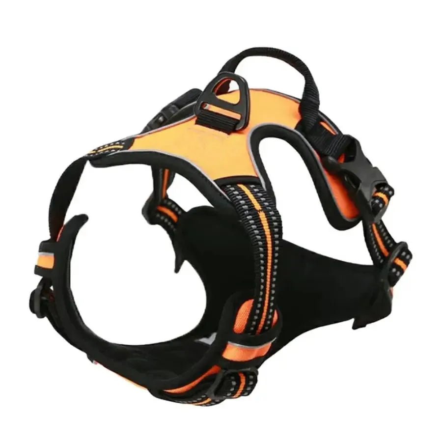 Dog Collars Harness Big Vests Leash Pet Shop Everything for Dogs Leather Puppy Accessories Medium Small Set-AMAZON FACTORY