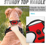 Dog Collars Harness Big Vests Leash Pet Shop Everything for Dogs Leather Puppy Accessories Medium Small Set-AMAZON FACTORY