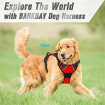 Dog Collars Harness Big Vests Leash Pet Shop Everything for Dogs Leather Puppy Accessories Medium Small Set-AMAZON FACTORY