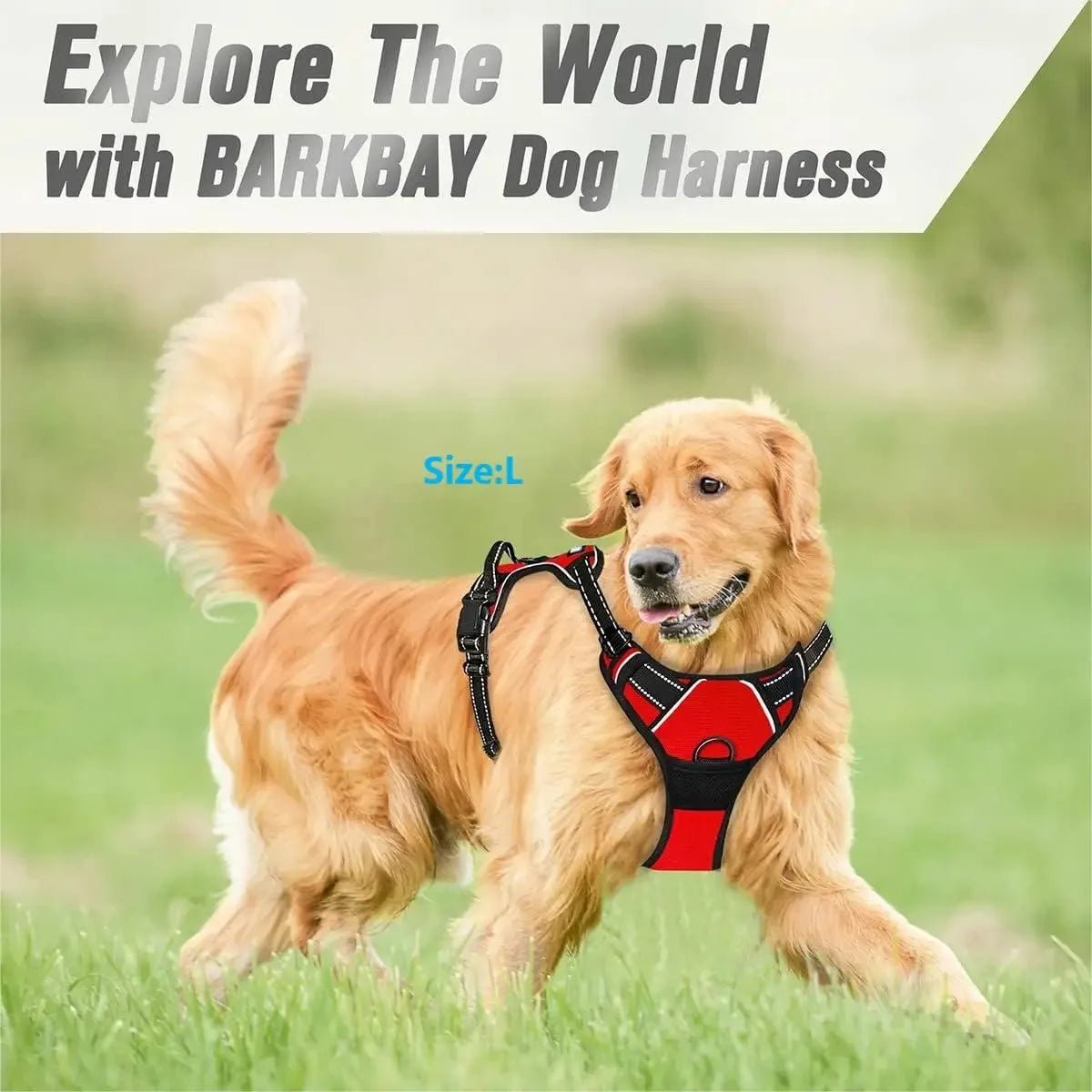 Dog Collars Harness Big Vests Leash Pet Shop Everything for Dogs Leather Puppy Accessories Medium Small Set-AMAZON FACTORY