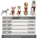 Dog Collars Harness Big Vests Leash Pet Shop Everything for Dogs Leather Puppy Accessories Medium Small Set-AMAZON FACTORY