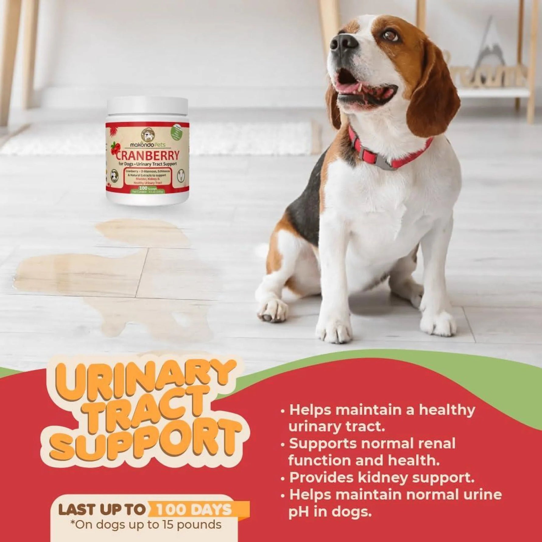 Dog Cranberry Supplement Natural Dog UTI Treatment & Kidney Support for Dogs - AMAZON FACTORY