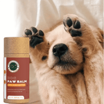 Dog Paw Balm - AMAZON FACTORY
