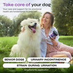 Dog UTI Treatment - AMAZON FACTORY