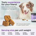 Dog UTI Treatment - AMAZON FACTORY