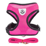 Dogs and Cats Harness Vest Walking Lead Leash For Puppy Dogs Collar Polyester Adjustable-AMAZON FACTORY
