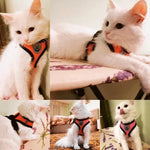 Dogs and Cats Harness Vest Walking Lead Leash For Puppy Dogs Collar Polyester Adjustable-AMAZON FACTORY
