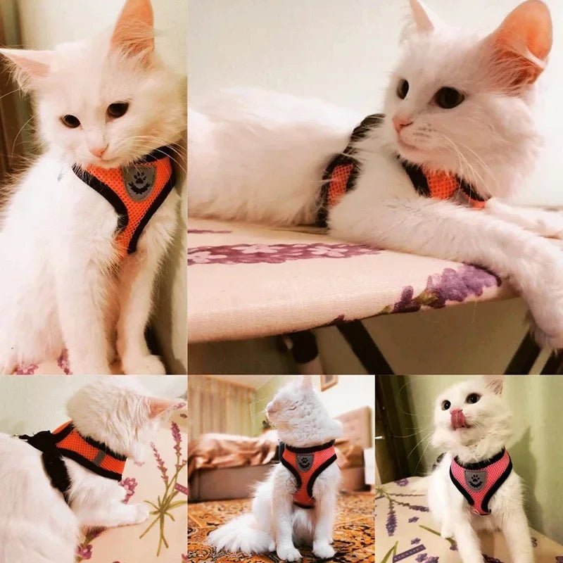 Dogs and Cats Harness Vest Walking Lead Leash For Puppy Dogs Collar Polyester Adjustable-AMAZON FACTORY