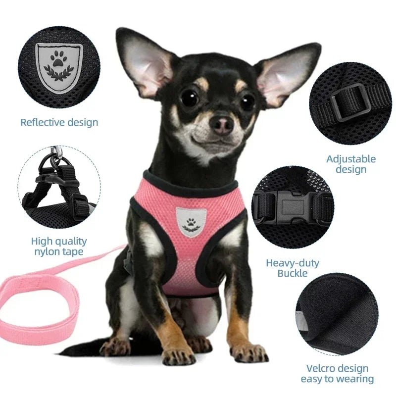 Dogs and Cats Harness Vest Walking Lead Leash For Puppy Dogs Collar Polyester Adjustable-AMAZON FACTORY