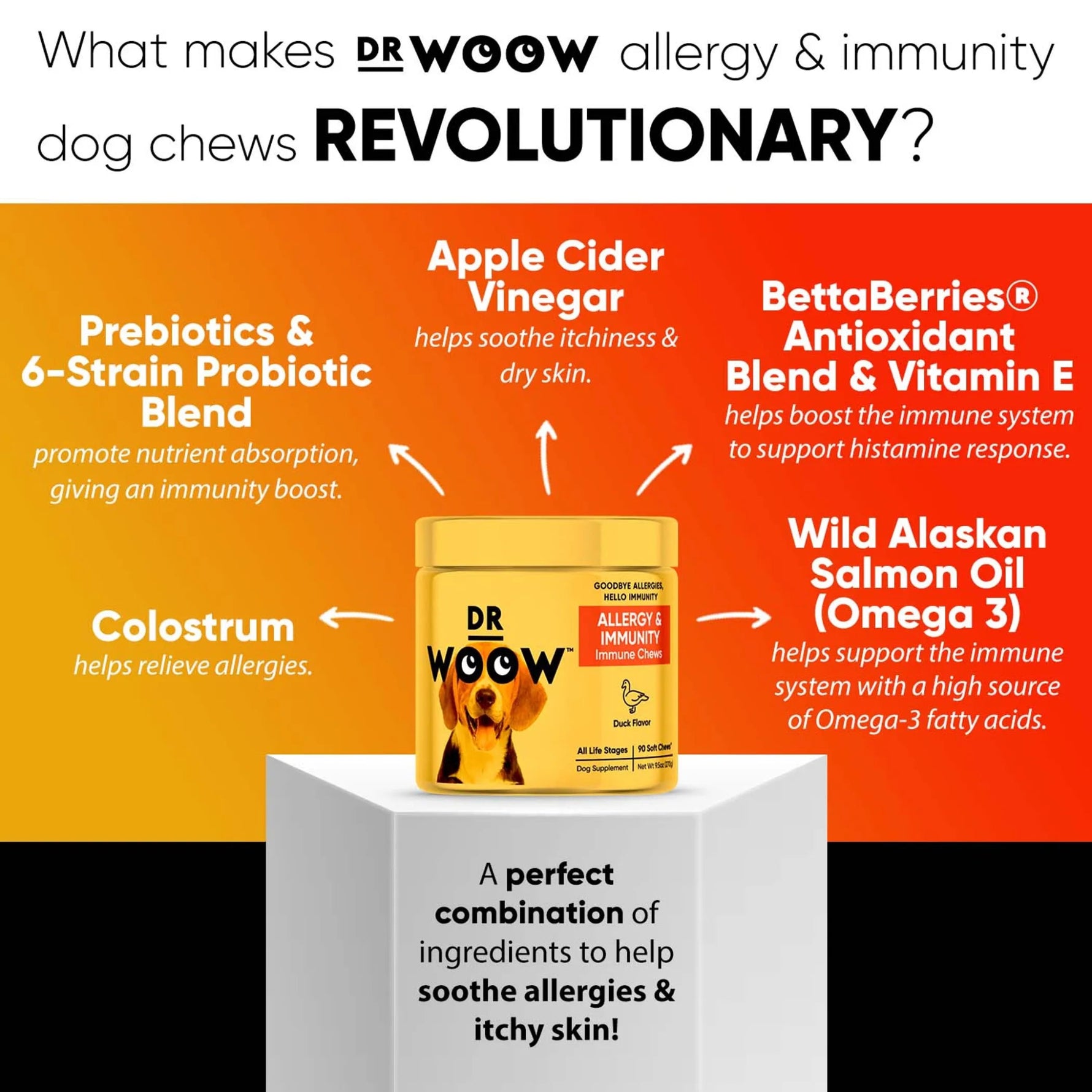 Dr Woow Allergy and Immunity Soft Chews-AMAZON FACTORY
