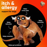 Dr Woow Allergy and Immunity Soft Chews-AMAZON FACTORY