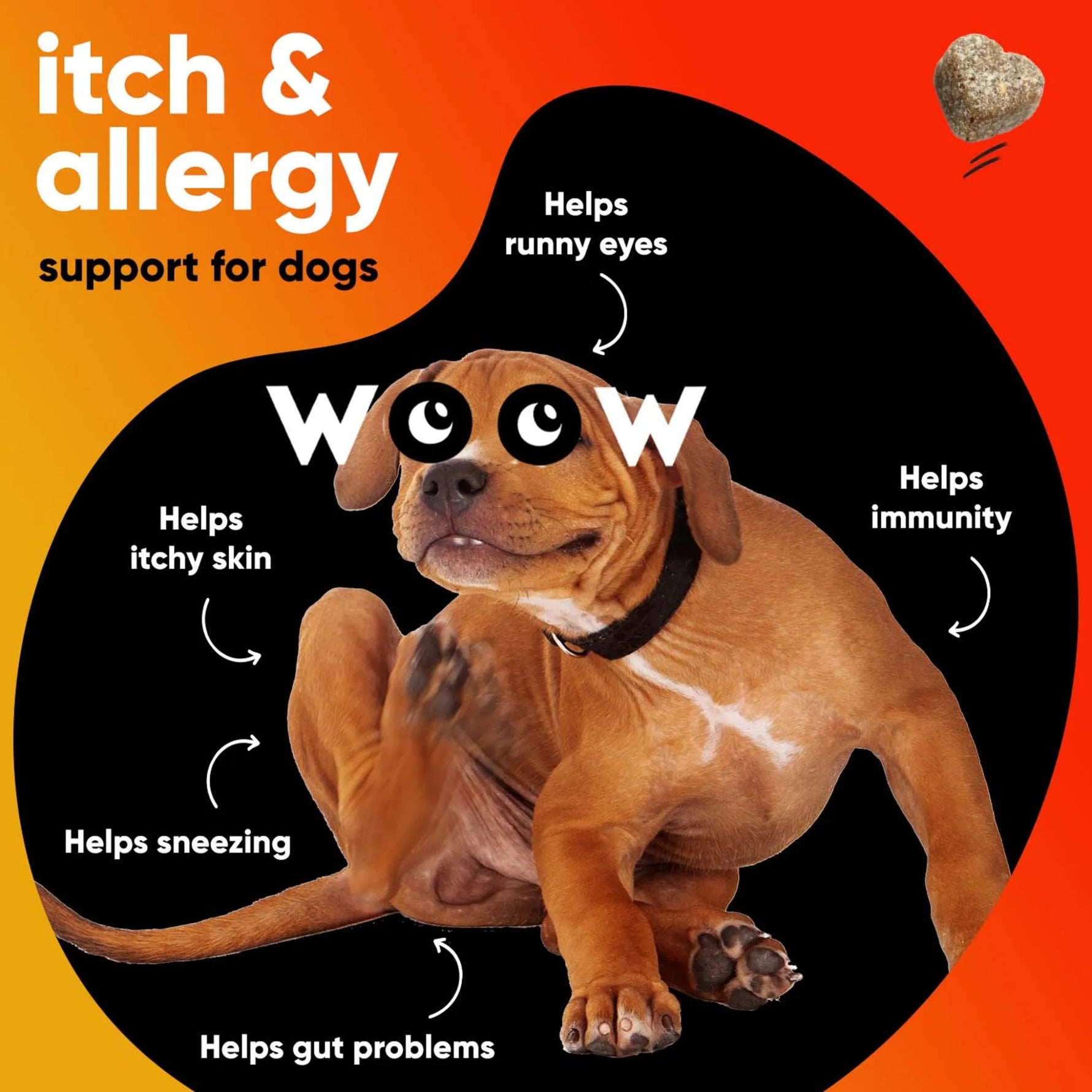 Dr Woow Allergy and Immunity Soft Chews-AMAZON FACTORY