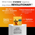 Dr Woow Digestion Soft Chews-AMAZON FACTORY