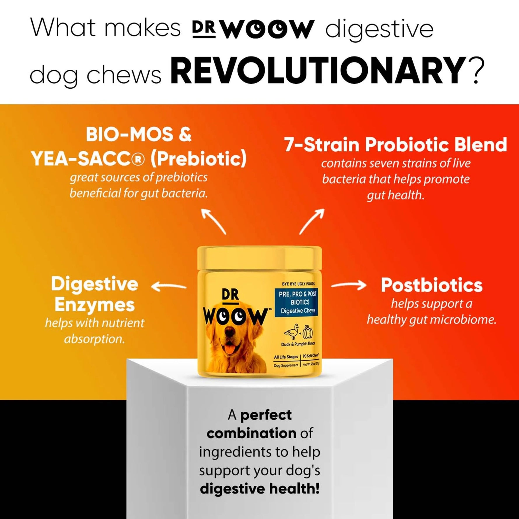 Dr Woow Digestion Soft Chews-AMAZON FACTORY