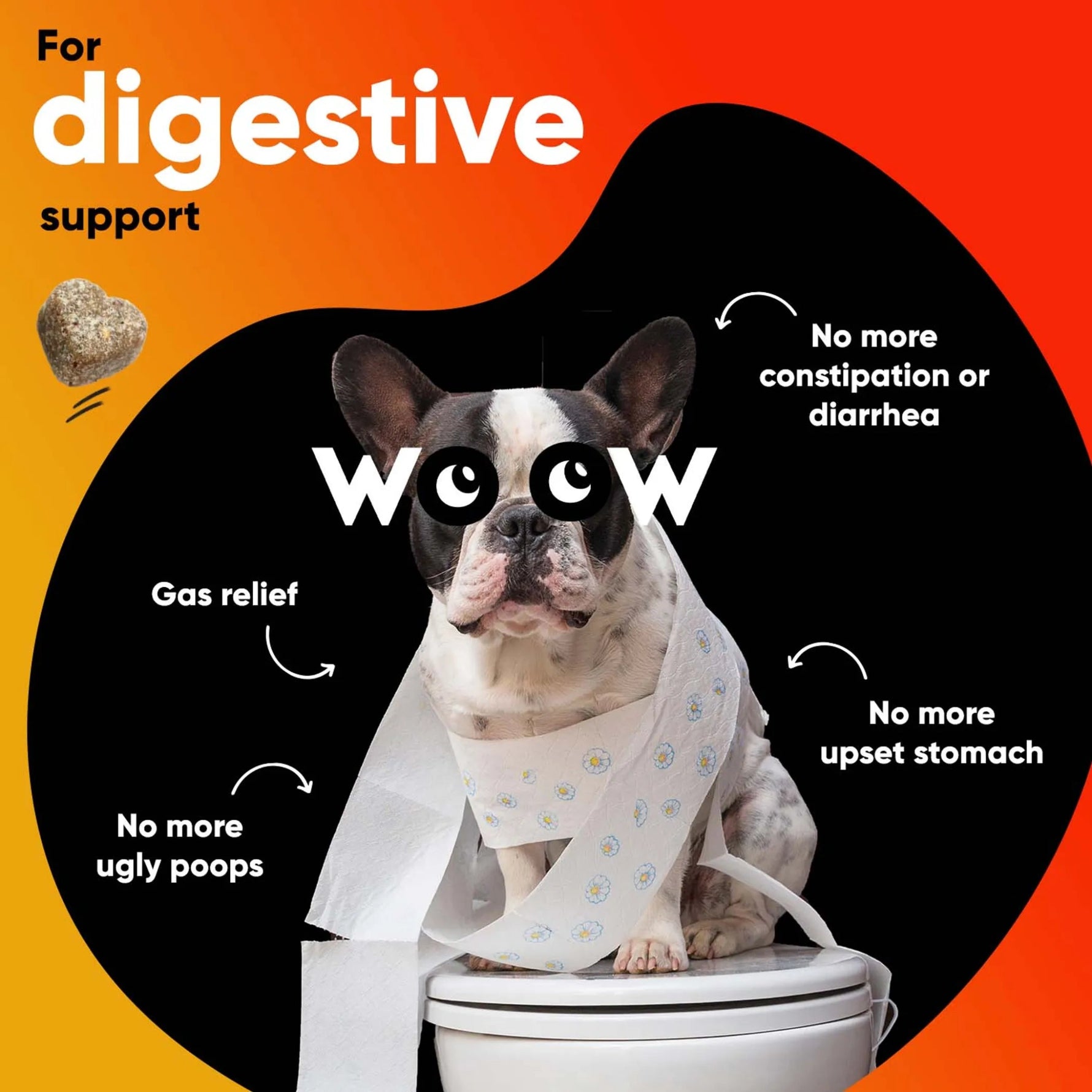 Dr Woow Digestion Soft Chews-AMAZON FACTORY