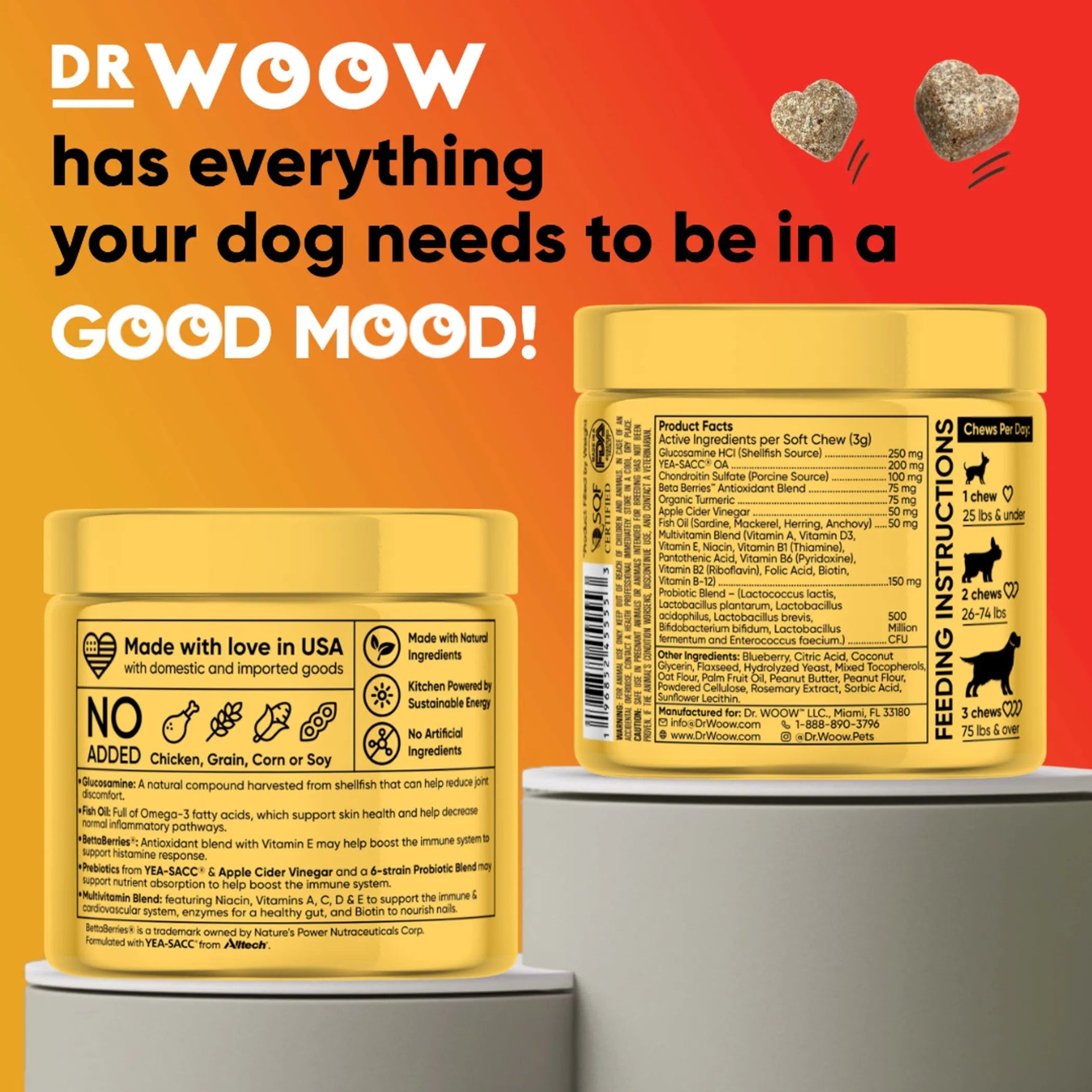 Dr Woow Multifunctional 11-in-1 vitamin chews-AMAZON FACTORY