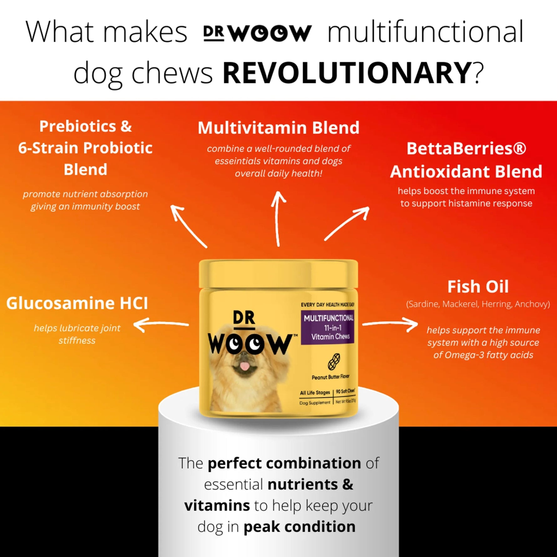 Dr Woow Multifunctional 11-in-1 vitamin chews-AMAZON FACTORY
